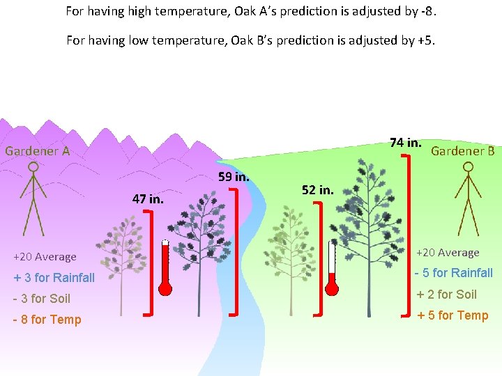 For having high temperature, Oak A’s prediction is adjusted by -8. For having low