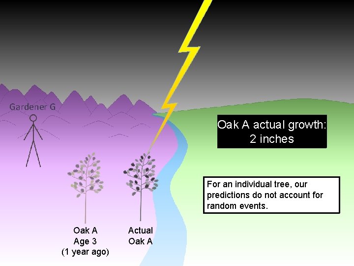 Gardener G Oak A actual growth: 2 inches For an individual tree, our predictions