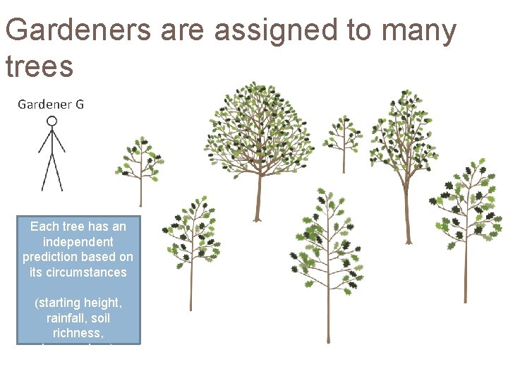 Gardeners are assigned to many trees Gardener G Each tree has an independent prediction