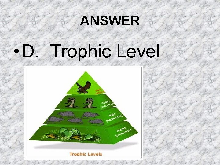 ANSWER • D. Trophic Level ANSWER • D. Trophic Level