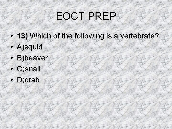 EOCT PREP • • • 13) Which of the following is a vertebrate? A)squid EOCT PREP • • • 13) Which of the following is a vertebrate? A)squid