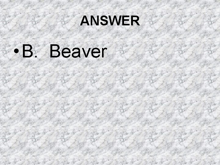 ANSWER • B. Beaver ANSWER • B. Beaver