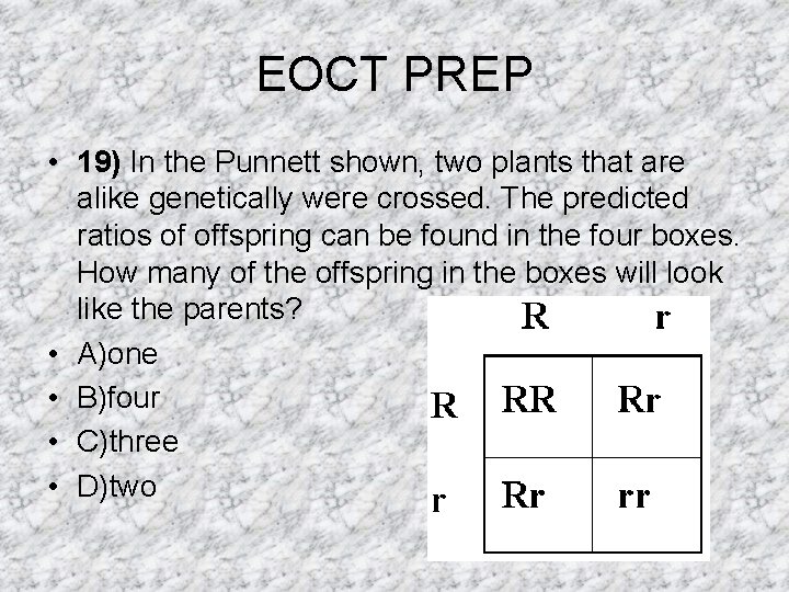 EOCT PREP • 19) In the Punnett shown, two plants that are alike genetically EOCT PREP • 19) In the Punnett shown, two plants that are alike genetically