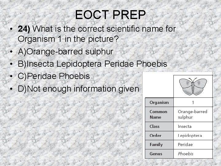 EOCT PREP • 24) What is the correct scientific name for Organism 1 in EOCT PREP • 24) What is the correct scientific name for Organism 1 in