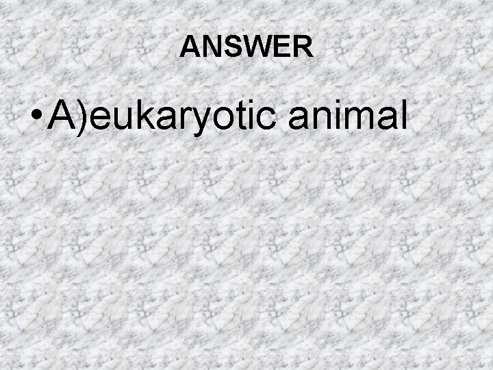 ANSWER • A)eukaryotic animal ANSWER • A)eukaryotic animal