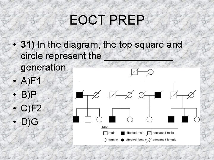 EOCT PREP • 31) In the diagram, the top square and circle represent the EOCT PREP • 31) In the diagram, the top square and circle represent the