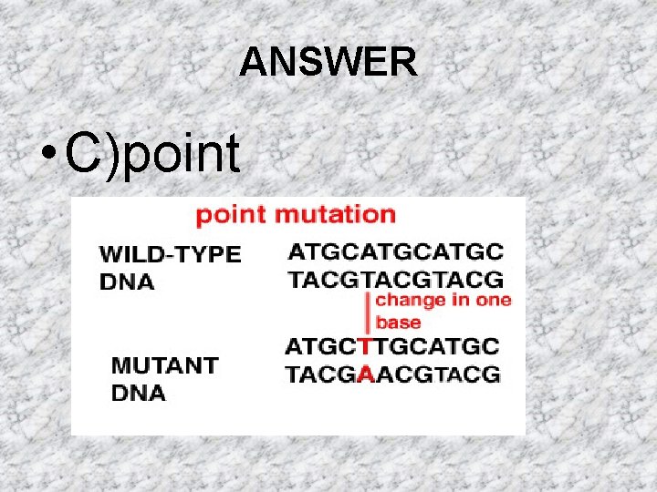 ANSWER • C)point ANSWER • C)point