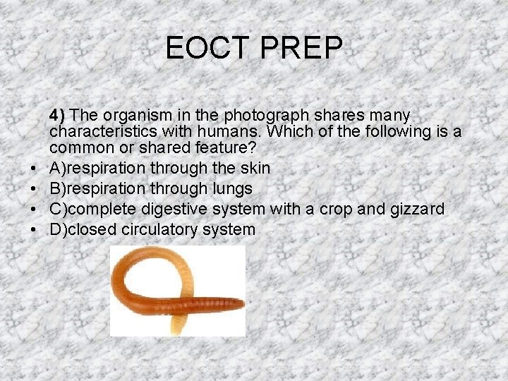 EOCT PREP • • 4) The organism in the photograph shares many characteristics with EOCT PREP • • 4) The organism in the photograph shares many characteristics with