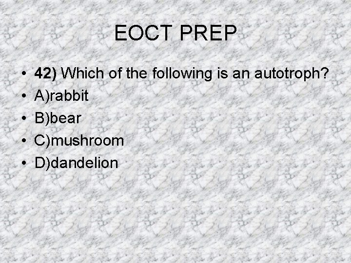 EOCT PREP • • • 42) Which of the following is an autotroph? A)rabbit EOCT PREP • • • 42) Which of the following is an autotroph? A)rabbit