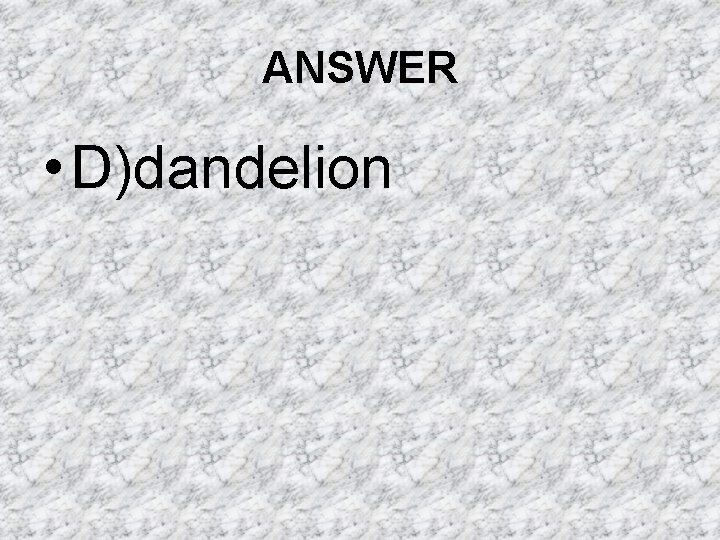 ANSWER • D)dandelion ANSWER • D)dandelion