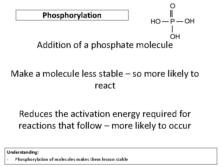 Phosphorylation Addition of a phosphate molecule Make a molecule less stable – so more