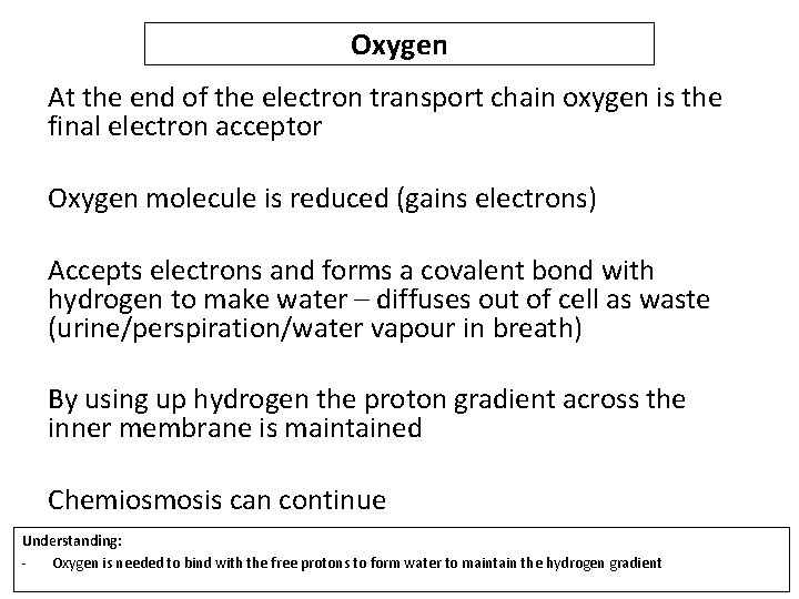 Oxygen At the end of the electron transport chain oxygen is the final electron