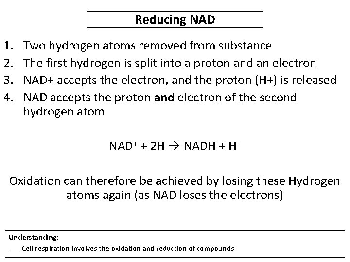 Reducing NAD 1. 2. 3. 4. Two hydrogen atoms removed from substance The first