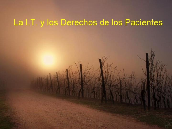 La I. T. y los Derechos de los Pacientes 