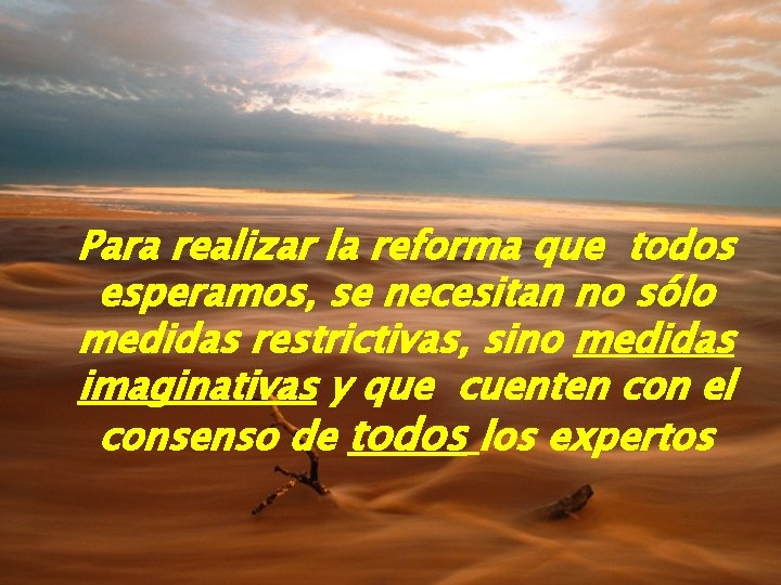 Para realizar la reforma que todos esperamos, se necesitan no sólo medidas restrictivas, sino