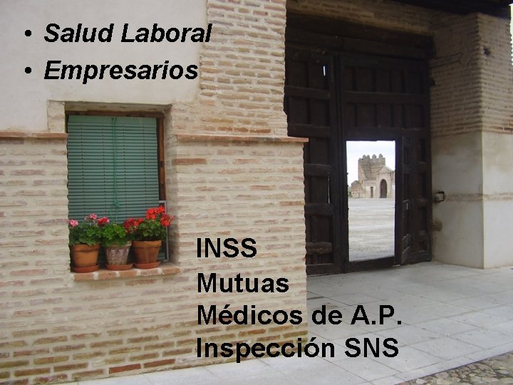  • Salud Laboral • Empresarios INSS Mutuas Médicos de A. P. Inspección SNS