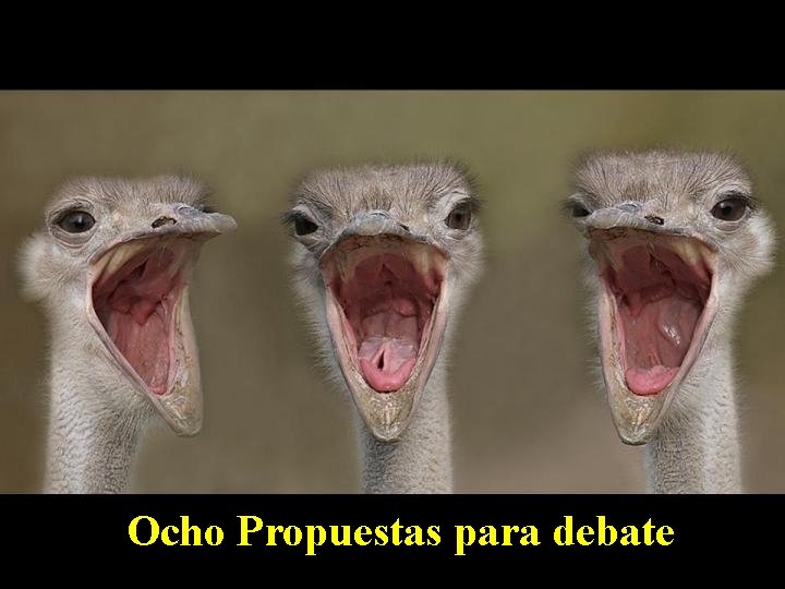 Ocho Propuestas para debate 