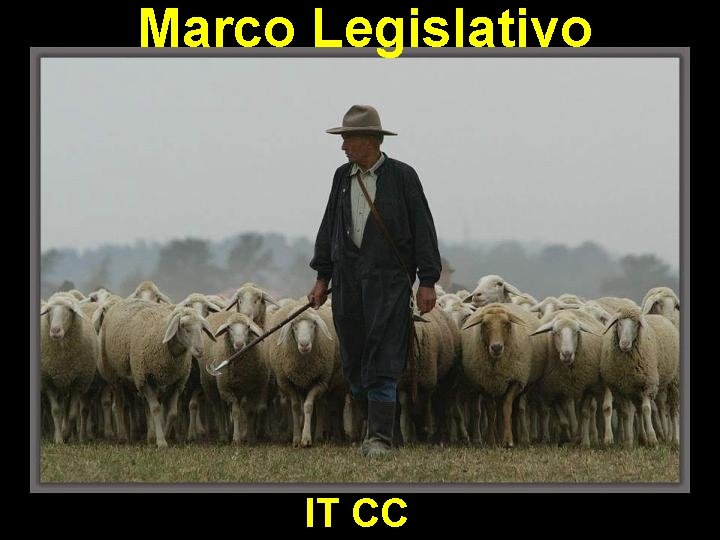 Marco Legislativo IT CC 