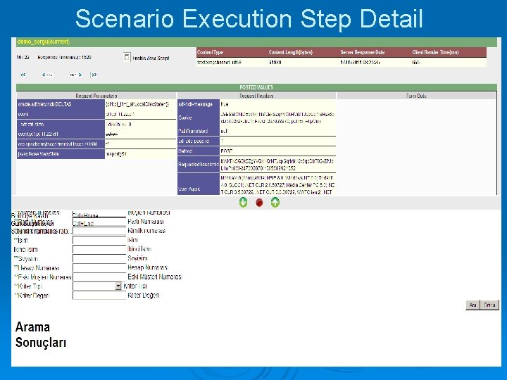 Scenario Execution Step Detail 