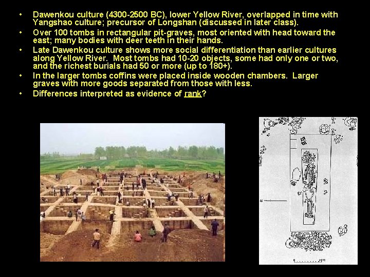  • • • Dawenkou culture (4300 -2500 BC), lower Yellow River, overlapped in