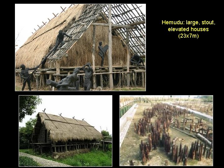 Hemudu: large, stout, elevated houses (23 x 7 m) 