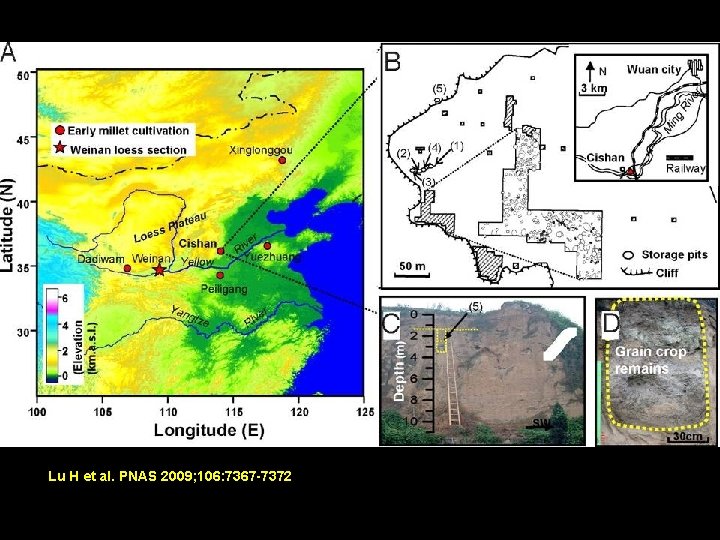 Lu H et al. PNAS 2009; 106: 7367 -7372 