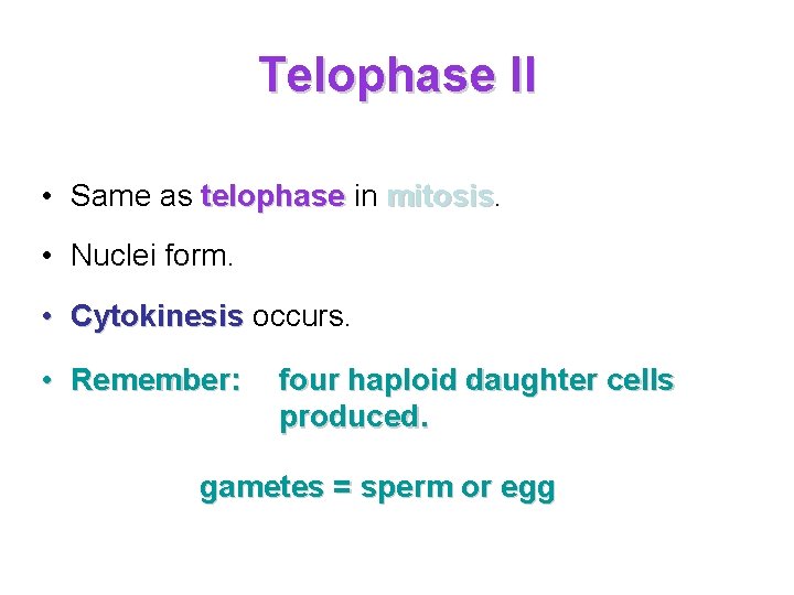 Telophase II • Same as telophase in mitosis • Nuclei form. • Cytokinesis occurs.