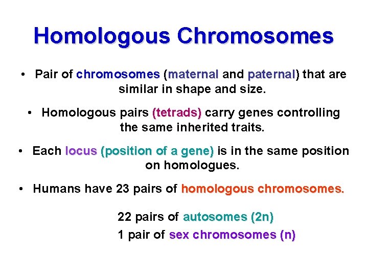 Homologous Chromosomes • Pair of chromosomes (maternal and paternal) paternal that are similar in