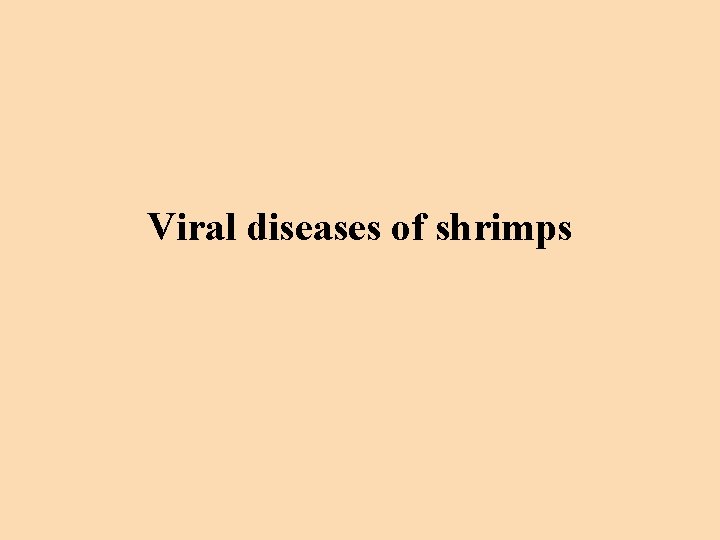 Viral diseases of shrimps 