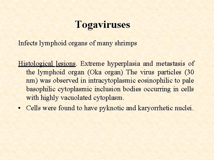 Togaviruses Infects lymphoid organs of many shrimps Histological lesions. Extreme hyperplasia and metastasis of