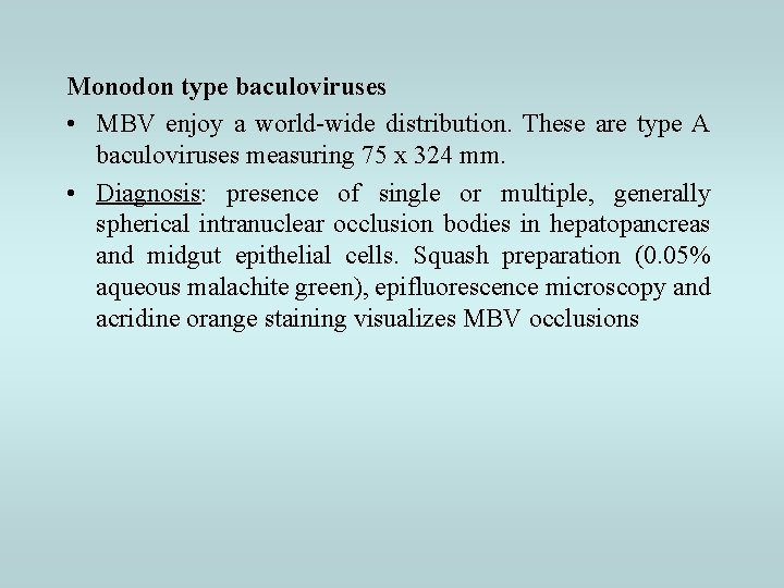 Monodon type baculoviruses • MBV enjoy a world-wide distribution. These are type A baculoviruses