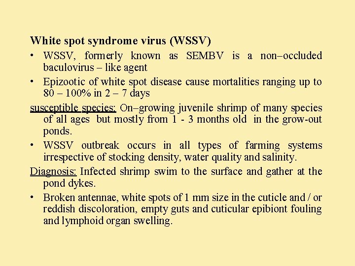 White spot syndrome virus (WSSV) • WSSV, formerly known as SEMBV is a non