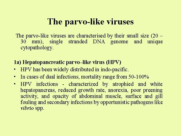 The parvo-like viruses are characterised by their small size (20 – 30 mm), single