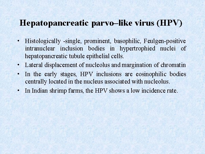 Hepatopancreatic parvo–like virus (HPV) • Histologically -single, prominent, basophilic, Feulgen-positive intranuclear inclusion bodies in
