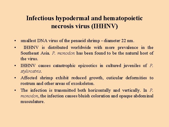 Infectious hypodermal and hematopoietic necrosis virus (IHHNV) • smallest DNA virus of the penaeid