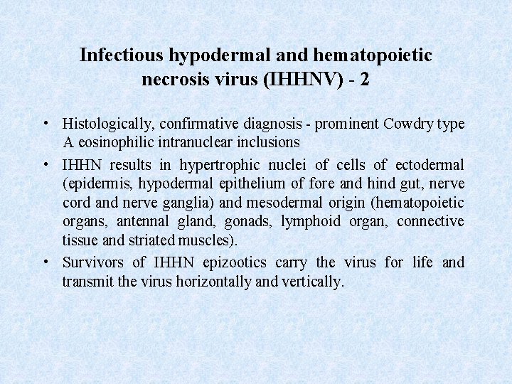 Infectious hypodermal and hematopoietic necrosis virus (IHHNV) - 2 • Histologically, confirmative diagnosis -