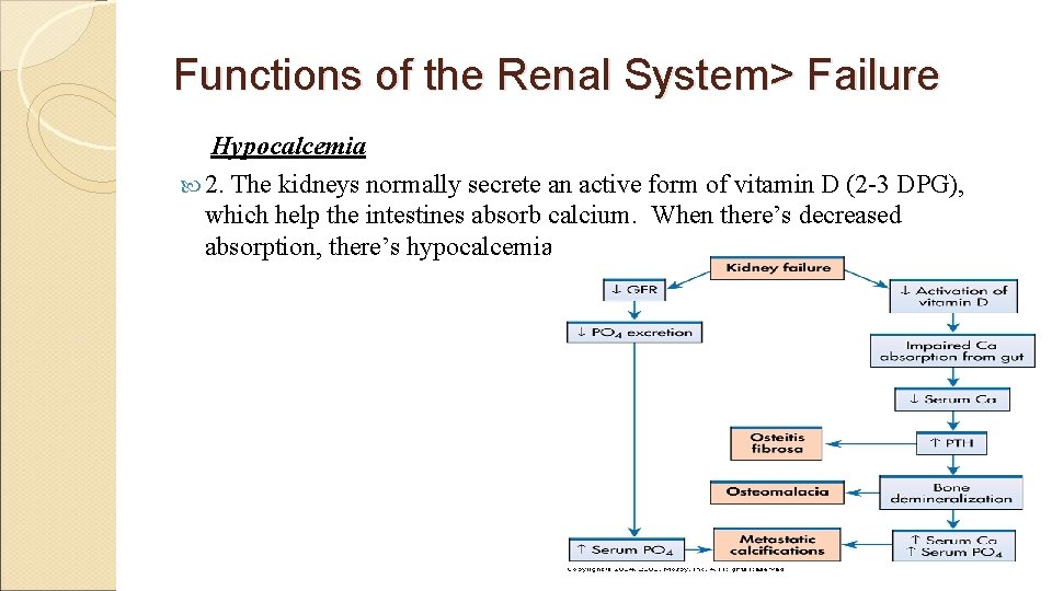 Functions of the Renal System> Failure Hypocalcemia 2. The kidneys normally secrete an active