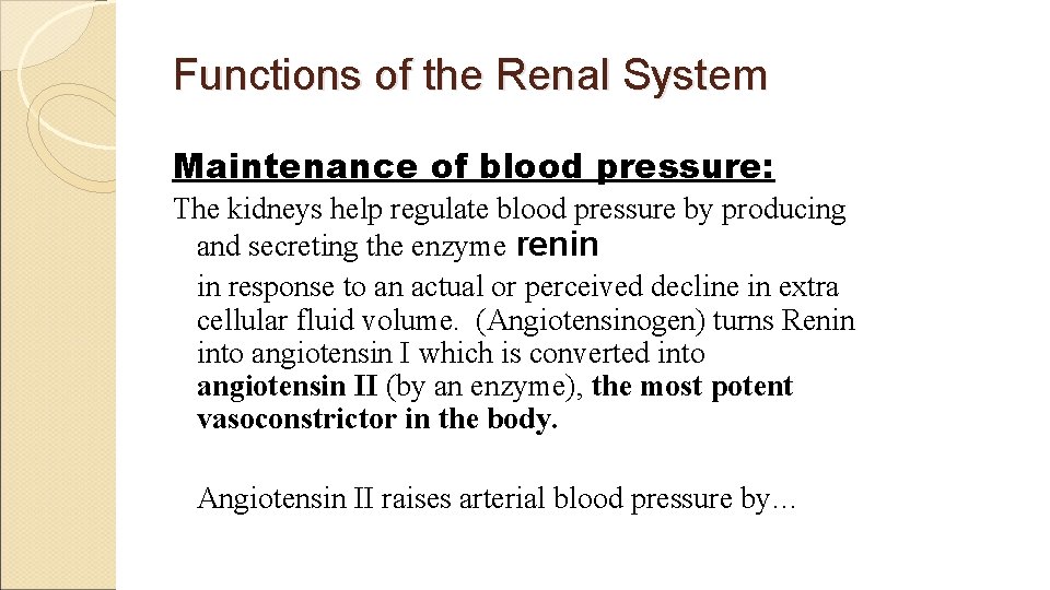 Functions of the Renal System Maintenance of blood pressure: The kidneys help regulate blood