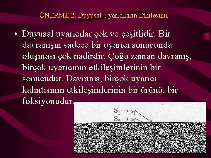 ÖNERME 2. Duyusal Uyarıcıların Etkileşimi • Duyusal uyarıcılar çok ve çeşitlidir. Bir davranışın sadece