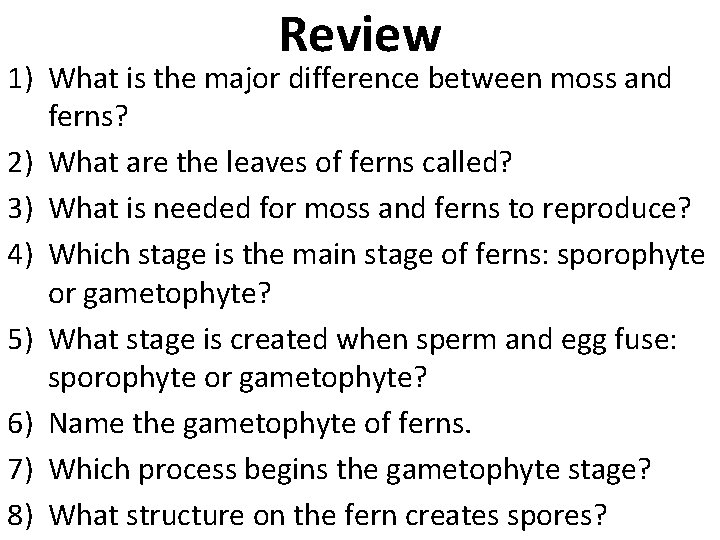 Review 1) What is the major difference between moss and ferns? 2) What are