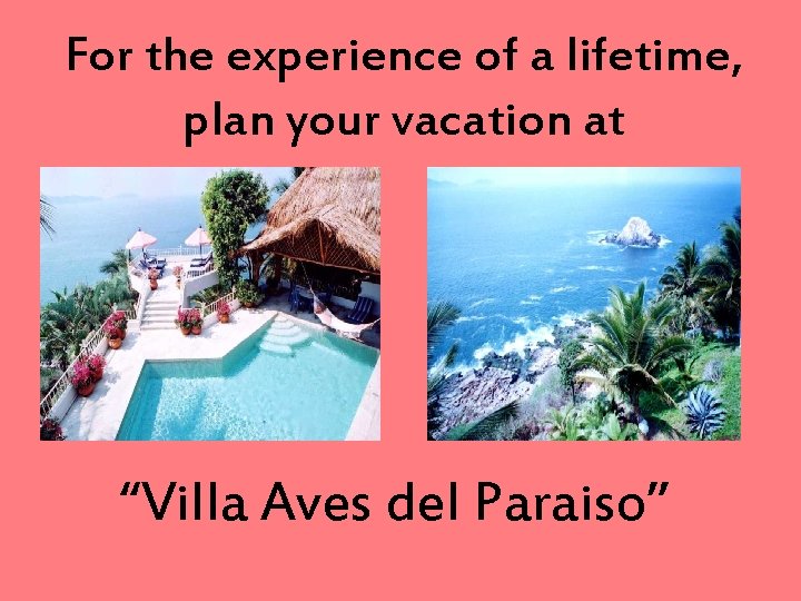 For the experience of a lifetime, plan your vacation at “Villa Aves del Paraiso” For the experience of a lifetime, plan your vacation at “Villa Aves del Paraiso”