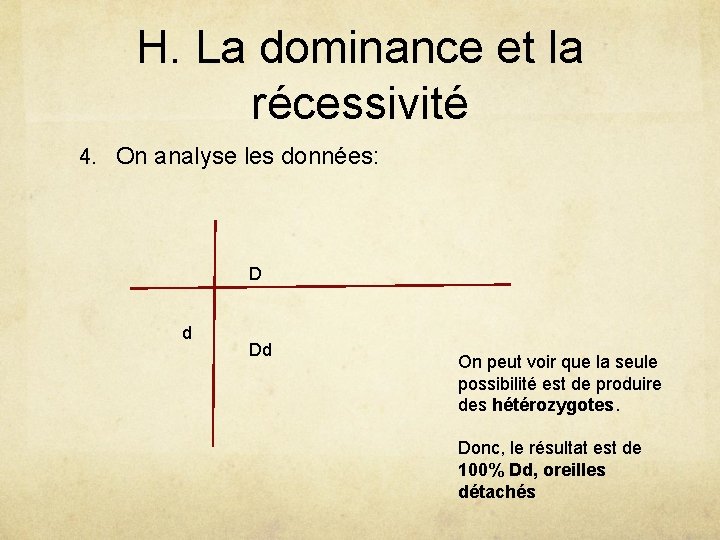 H. La dominance et la récessivité 4. On analyse les données: D d Dd