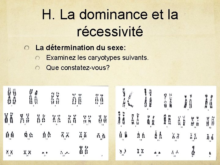 H. La dominance et la récessivité La détermination du sexe: Examinez les caryotypes suivants.
