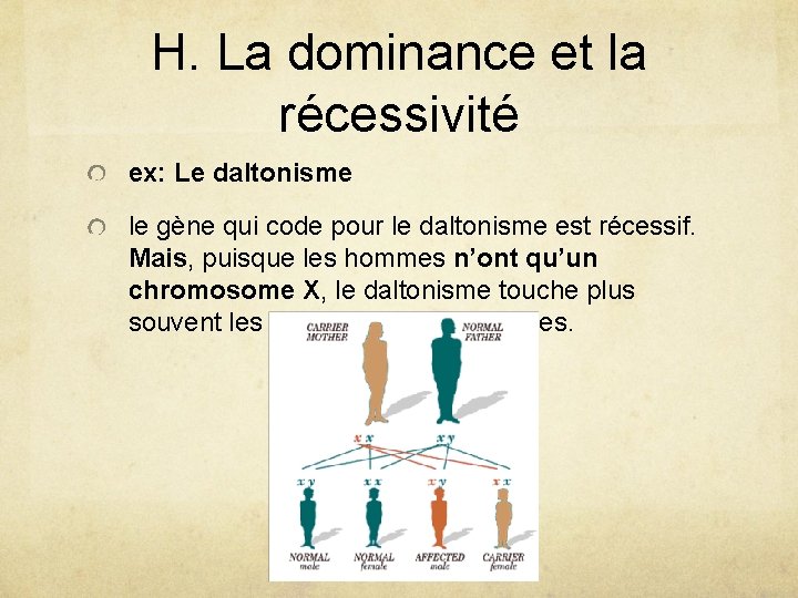 H. La dominance et la récessivité ex: Le daltonisme le gène qui code pour