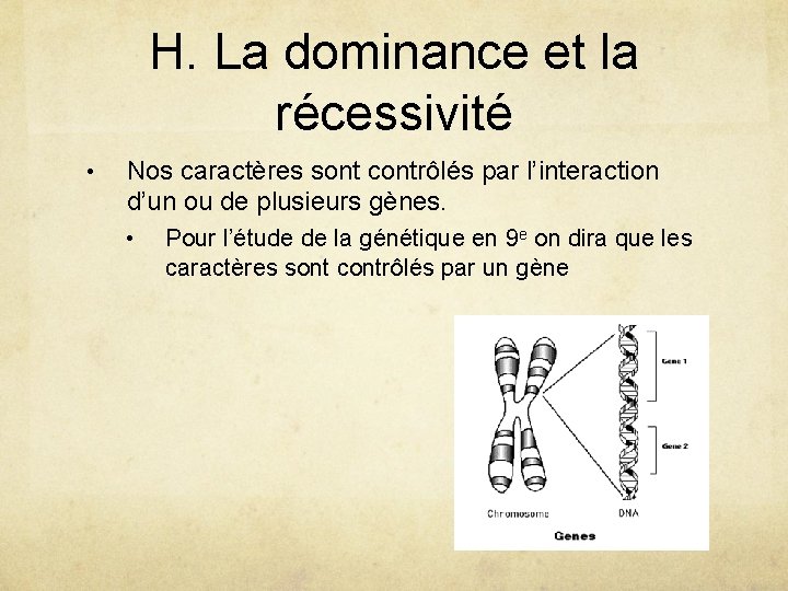 H. La dominance et la récessivité • Nos caractères sont contrôlés par l’interaction d’un