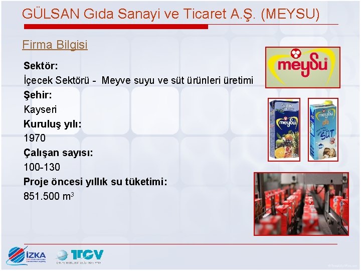 GÜLSAN Gıda Sanayi ve Ticaret A. Ş. (MEYSU) Firma Bilgisi Sektör: İçecek Sektörü -