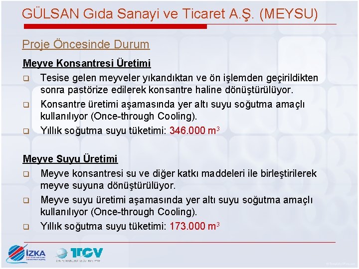 GÜLSAN Gıda Sanayi ve Ticaret A. Ş. (MEYSU) Proje Öncesinde Durum Meyve Konsantresi Üretimi