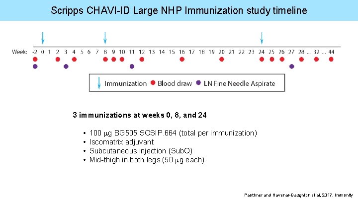 Scripps CHAVI-ID Large NHP Immunization study timeline 3 immunizations at weeks 0, 8, and