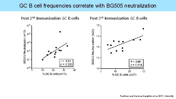 GC B cell frequencies correlate with BG 505 neutralization Post 2 nd Immunization GC