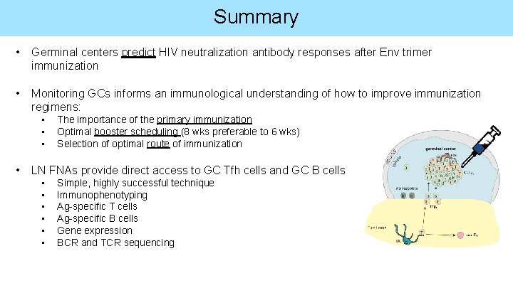 Summary • Germinal centers predict HIV neutralization antibody responses after Env trimer immunization •